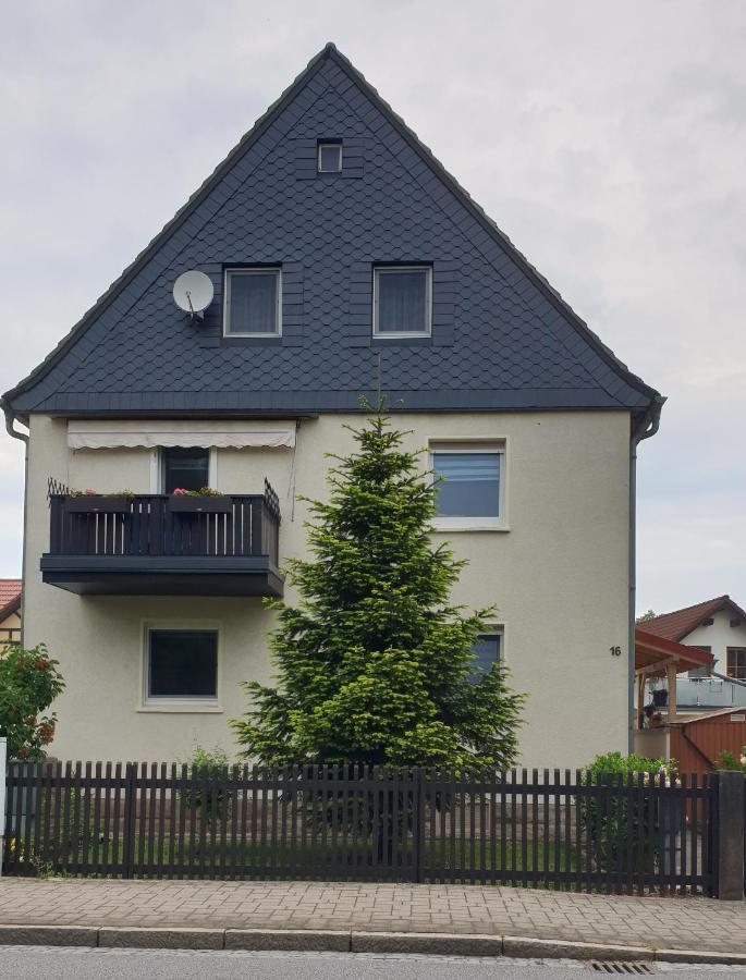 Ferienwohnung Familie Thiedemann 皮尔纳 外观 照片